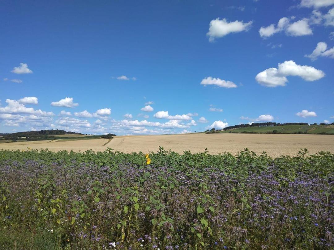 Obere Ferienwohnung Asshoff Zwischen Odenwald, Taubertal Und Bauland Berolzheim Exteriér fotografie